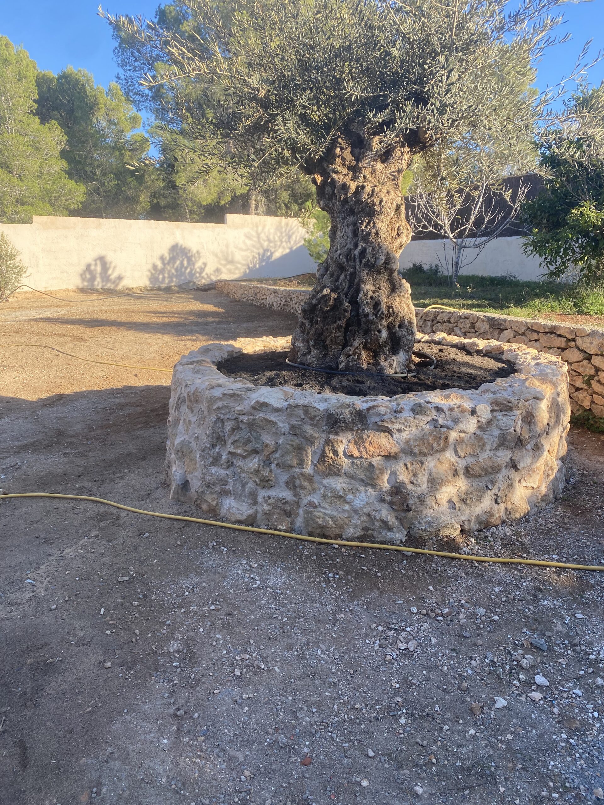 Inicio del proyecto Porvenir Design & Build Ibiza